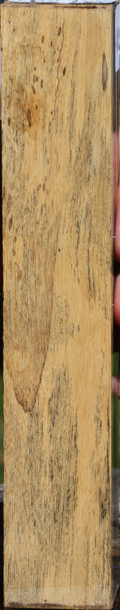 Black & White Ebony Turning Square