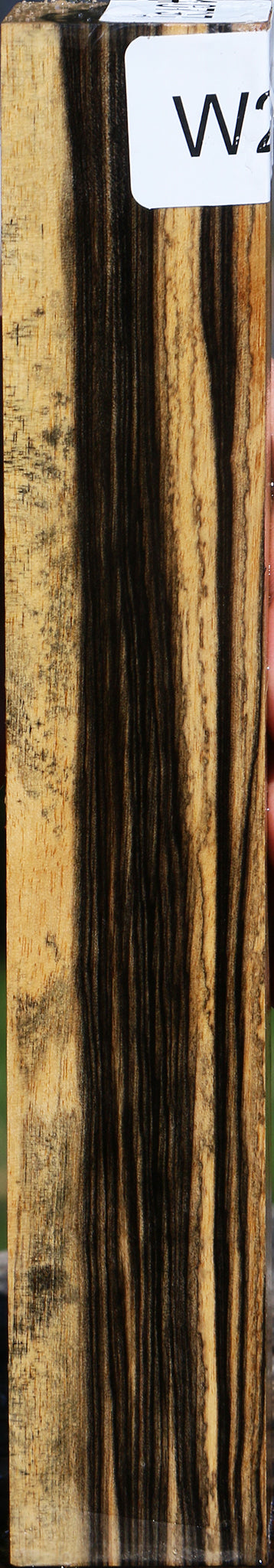 Black & White Ebony Turning Square