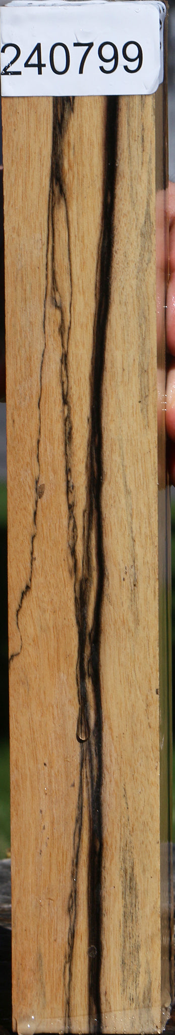 Black & White Ebony Turning Square