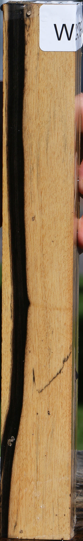 Black & White Ebony Turning Square