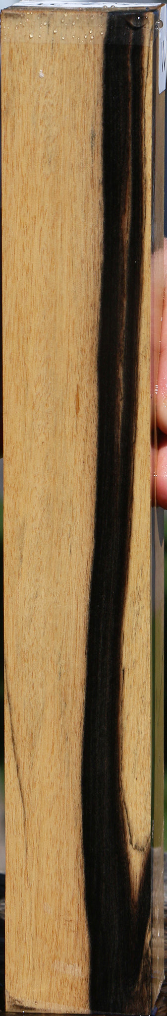 Black & White Ebony Turning Square