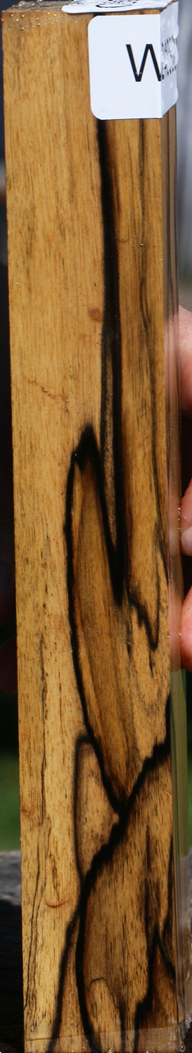 Black & White Ebony Lumber