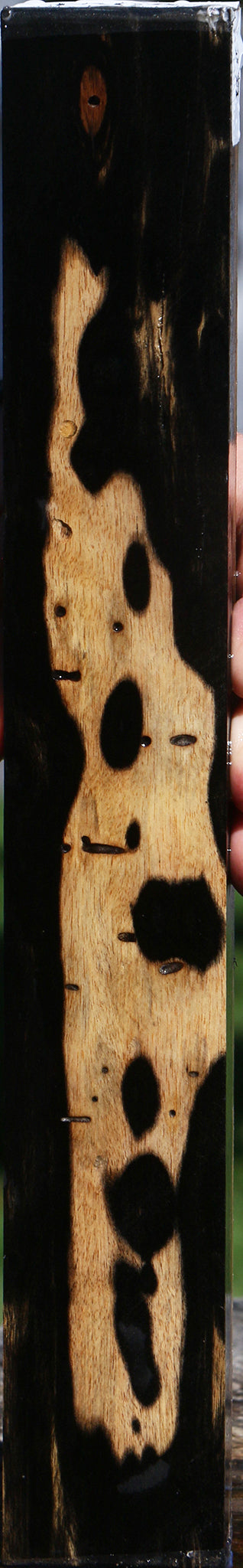 Black & White Ebony Lumber