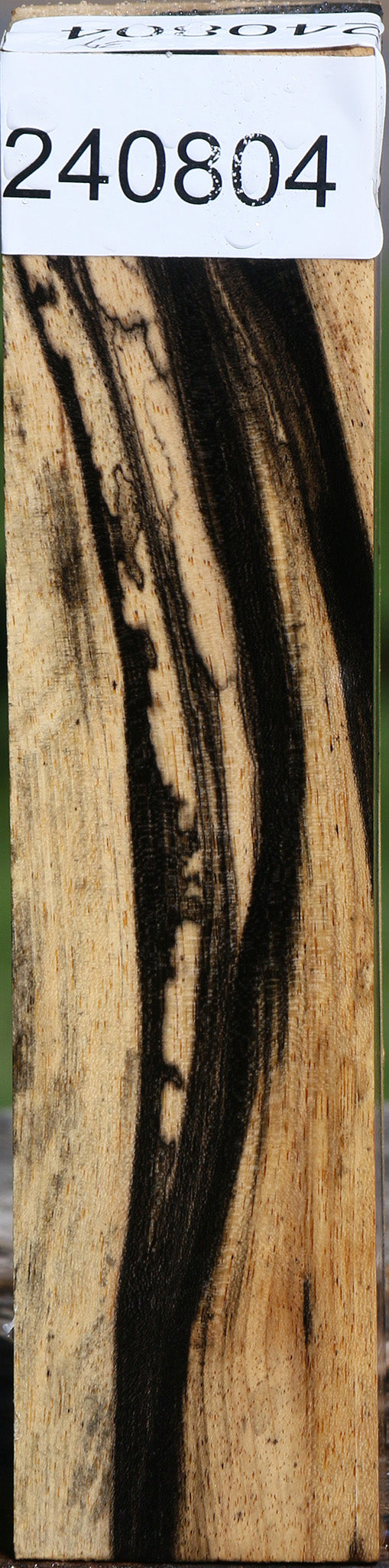 Black & White Ebony Turning Blank