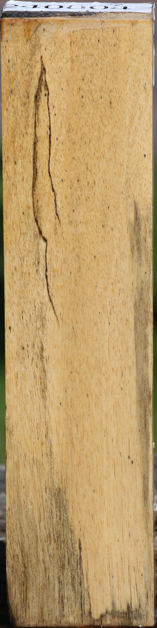 Black & White Ebony Turning Blank