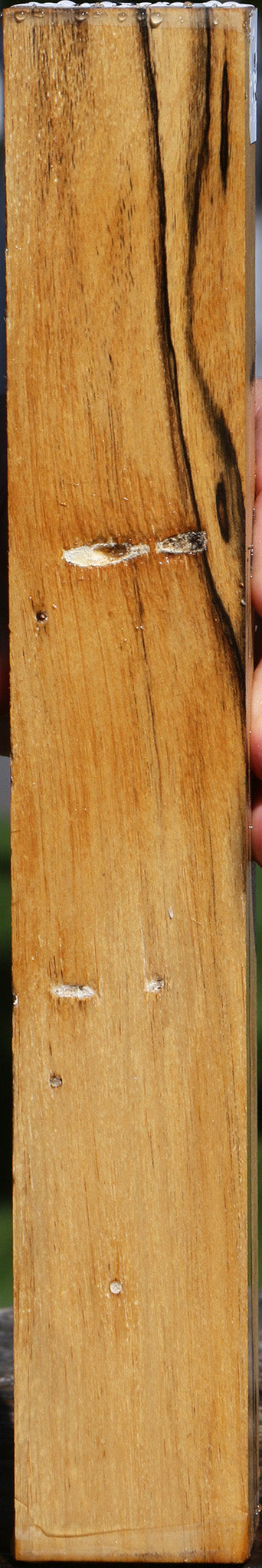 Black & White Ebony Turning Blank
