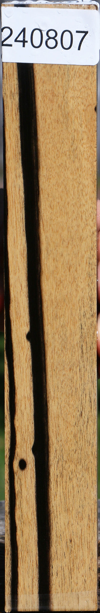 Black & White Ebony Turning Blank