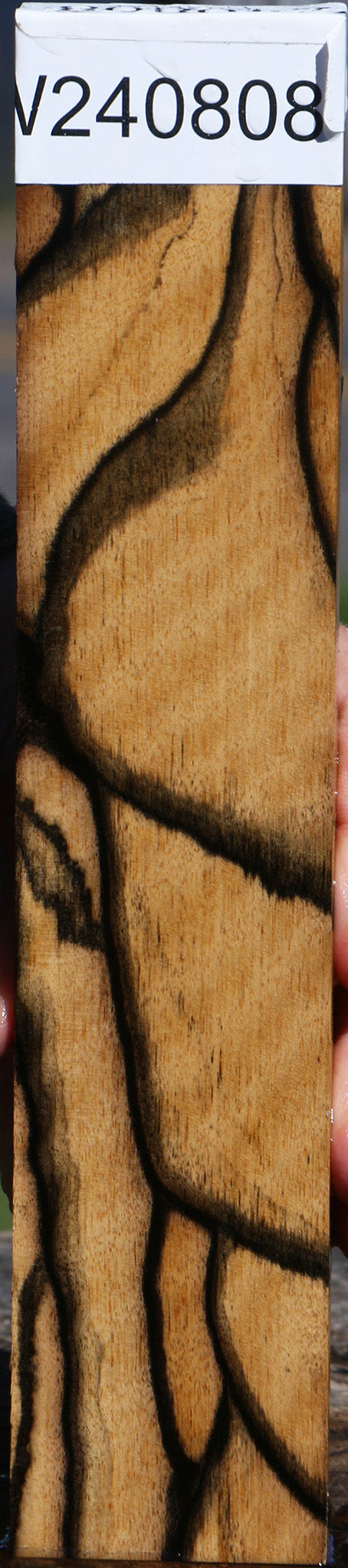 Fiddleback Black & White Ebony Lumber