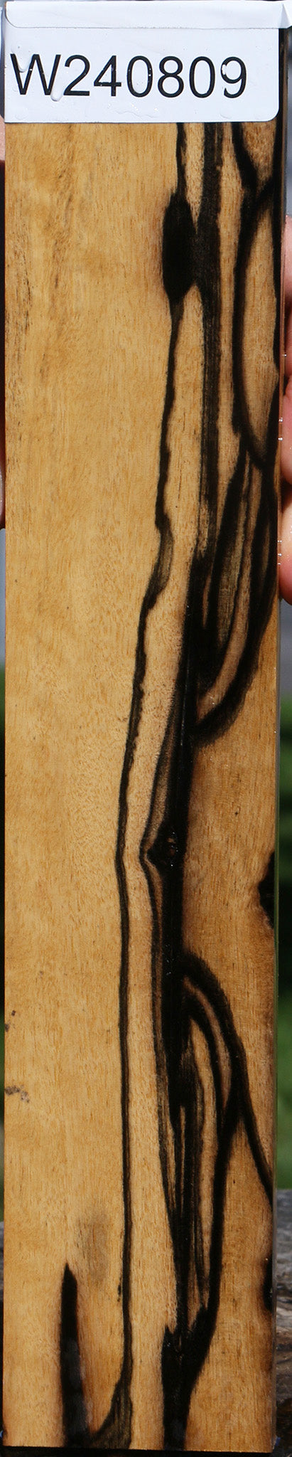 Black & White Ebony Micro Lumber