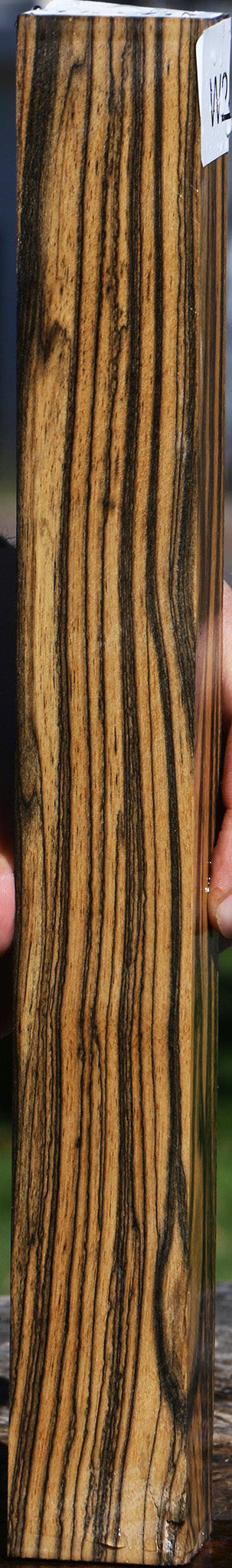 Black & White Ebony Turning Blank