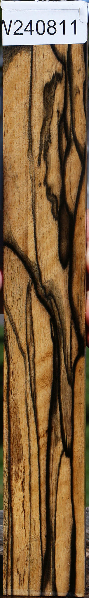 Fiddleback Black & White Ebony Micro Lumber