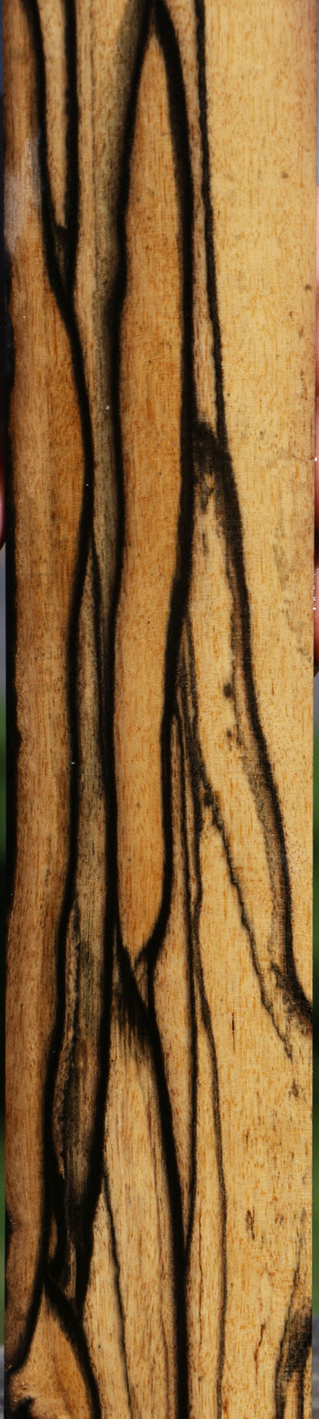 Fiddleback Black & White Ebony Micro Lumber