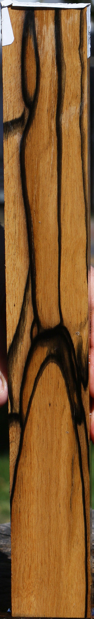 Black & White Ebony Lumber