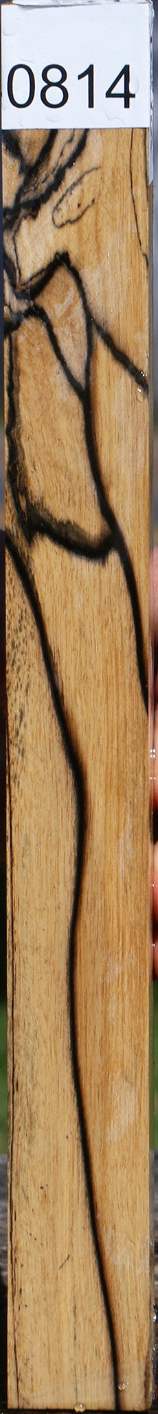 Black & White Ebony Turning Square