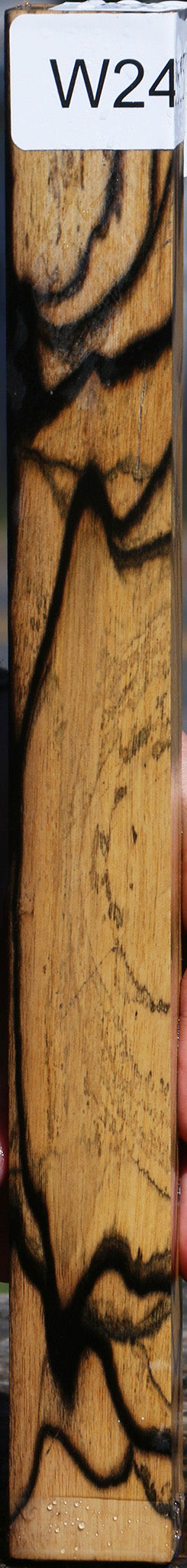 Black & White Ebony Turning Square