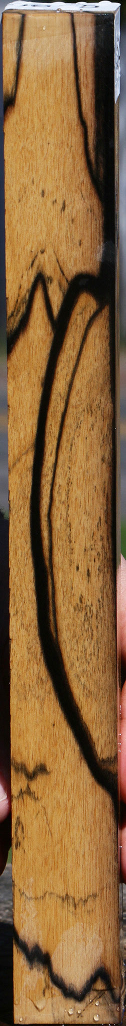 Black & White Ebony Turning Square