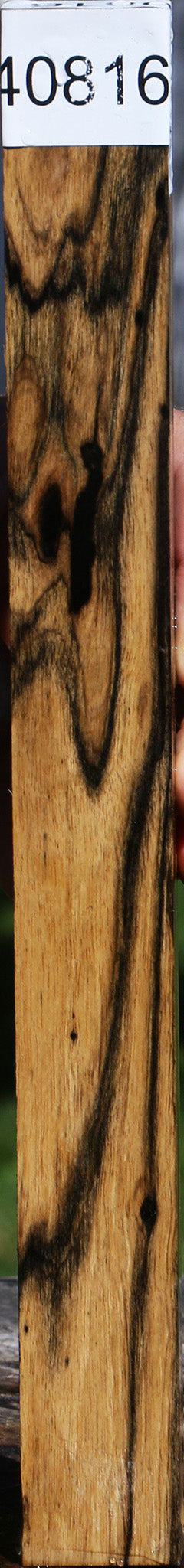 Black & White Ebony Turning Square