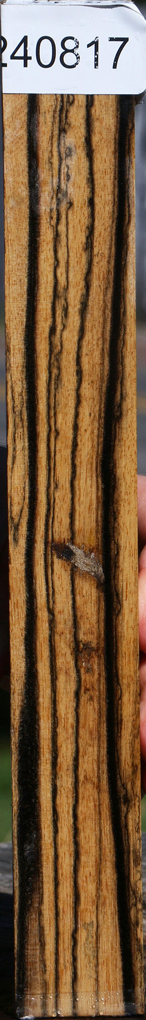 Black & White Ebony Turning Square