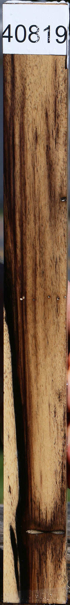 Black & White Ebony Turning Square