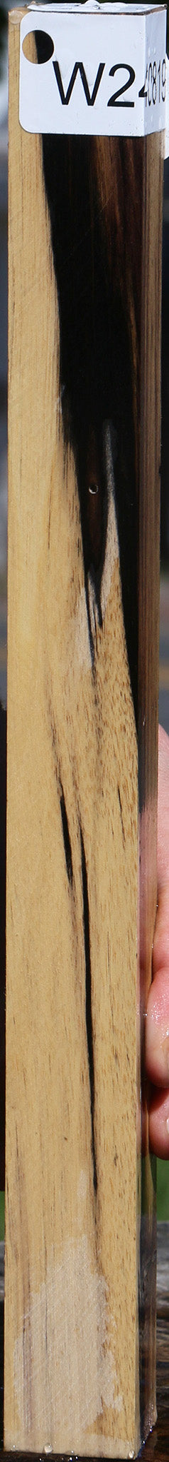 Black & White Ebony Turning Square