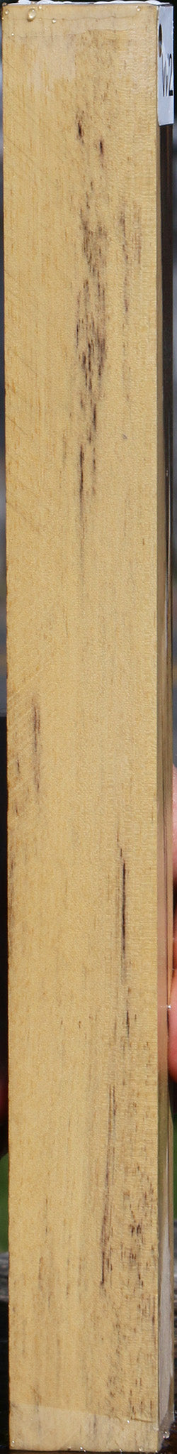 Black & White Ebony Turning Square