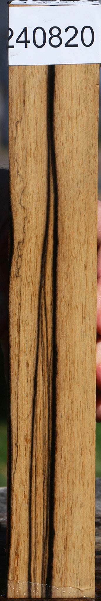 Black & White Ebony Turning Blank