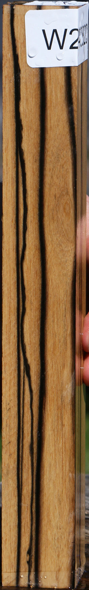 Black & White Ebony Turning Blank