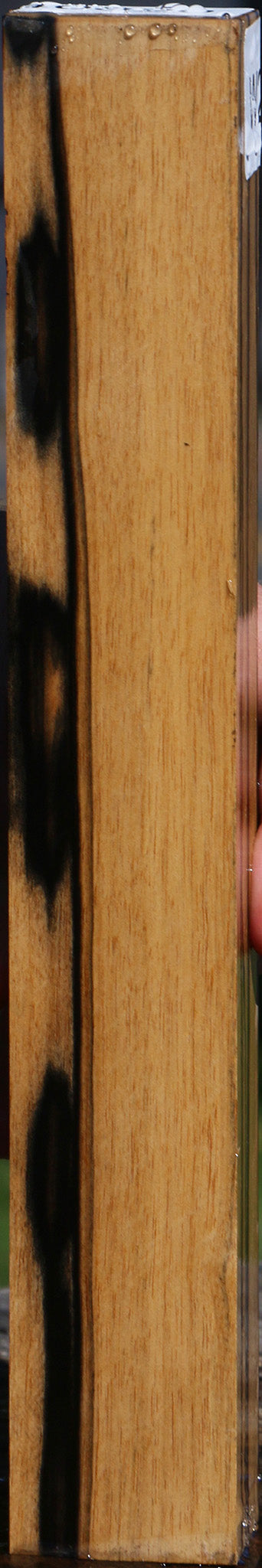 Black & White Ebony Turning Blank