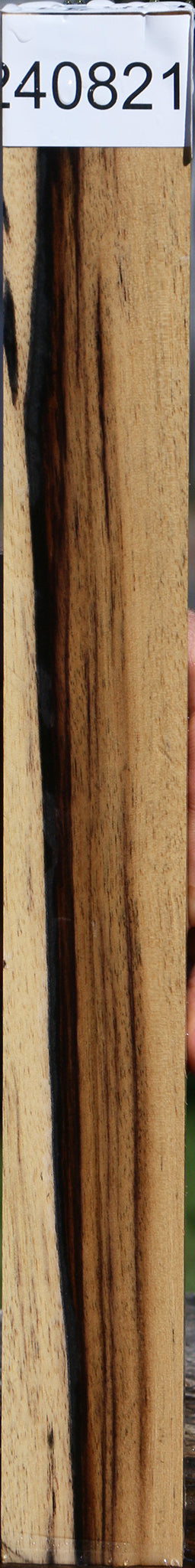 Black & White Ebony Turning Blank