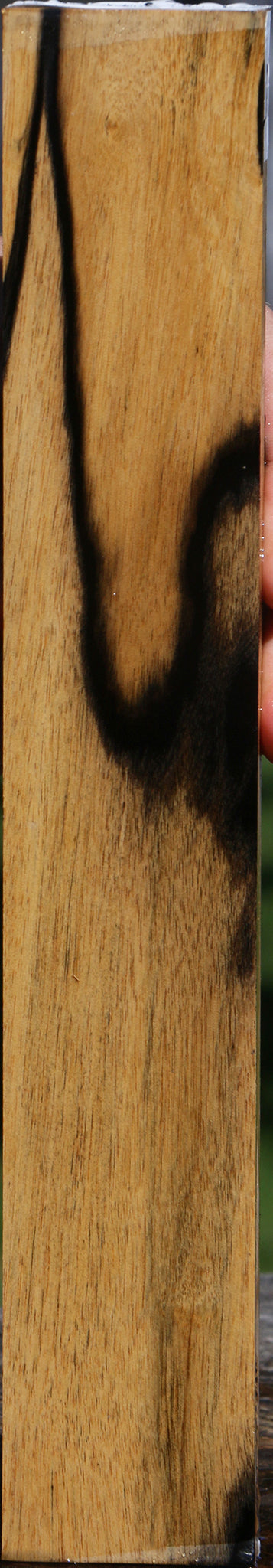 Black & White Ebony Lumber