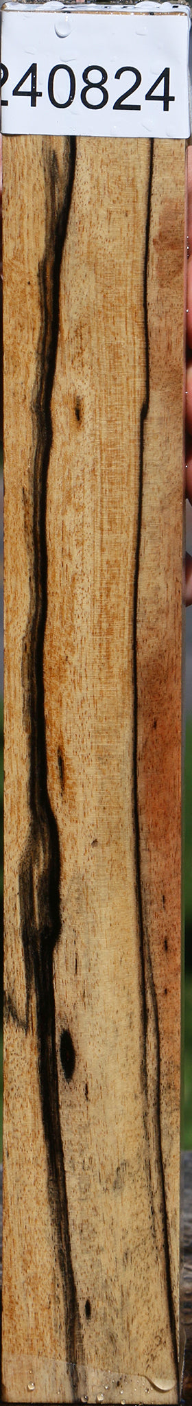 Black & White Ebony Turning Blank