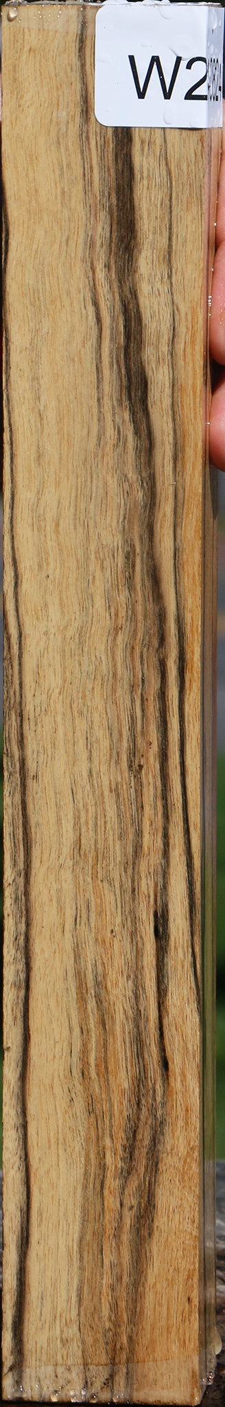 Black & White Ebony Turning Blank