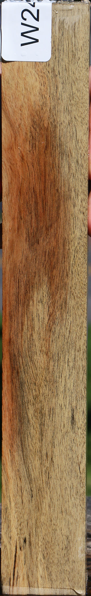 Black & White Ebony Turning Blank