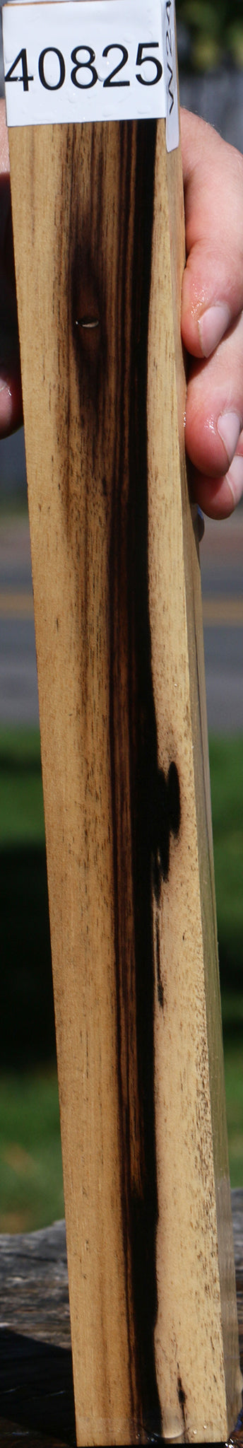 Black & White Ebony Turning Blank