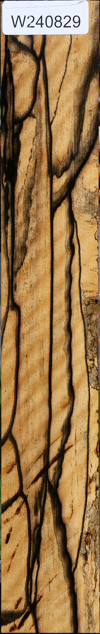 Extra Fancy  Black & White Ebony Fingerboard