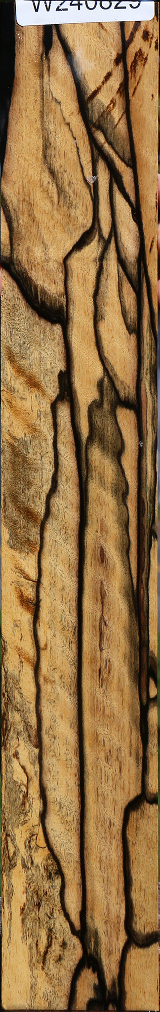 Extra Fancy  Black & White Ebony Fingerboard