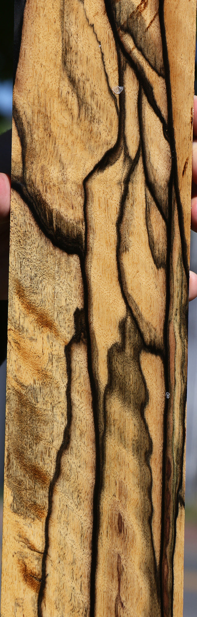 Extra Fancy  Black & White Ebony Fingerboard