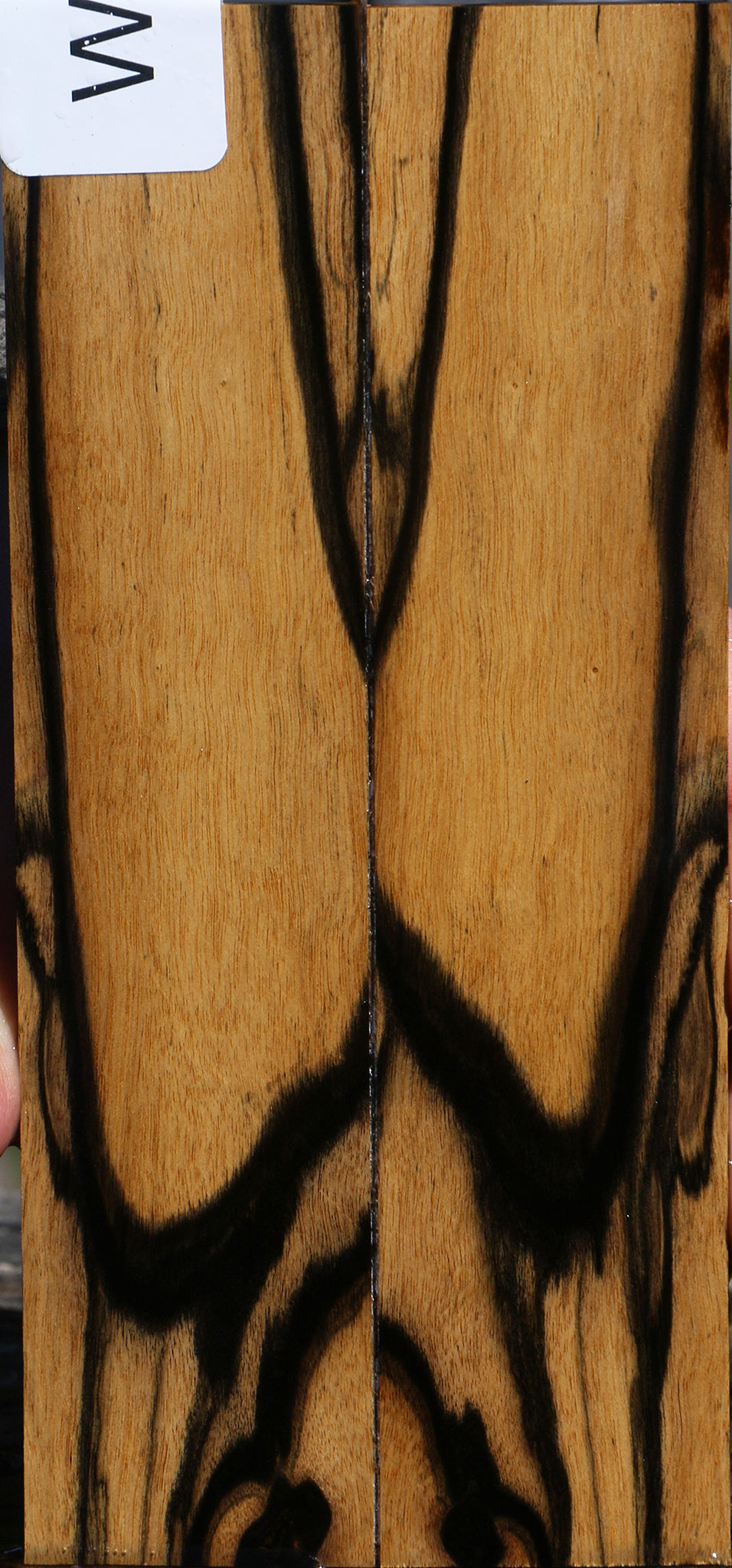 Black & White Ebony Bookmatched Knife Scales