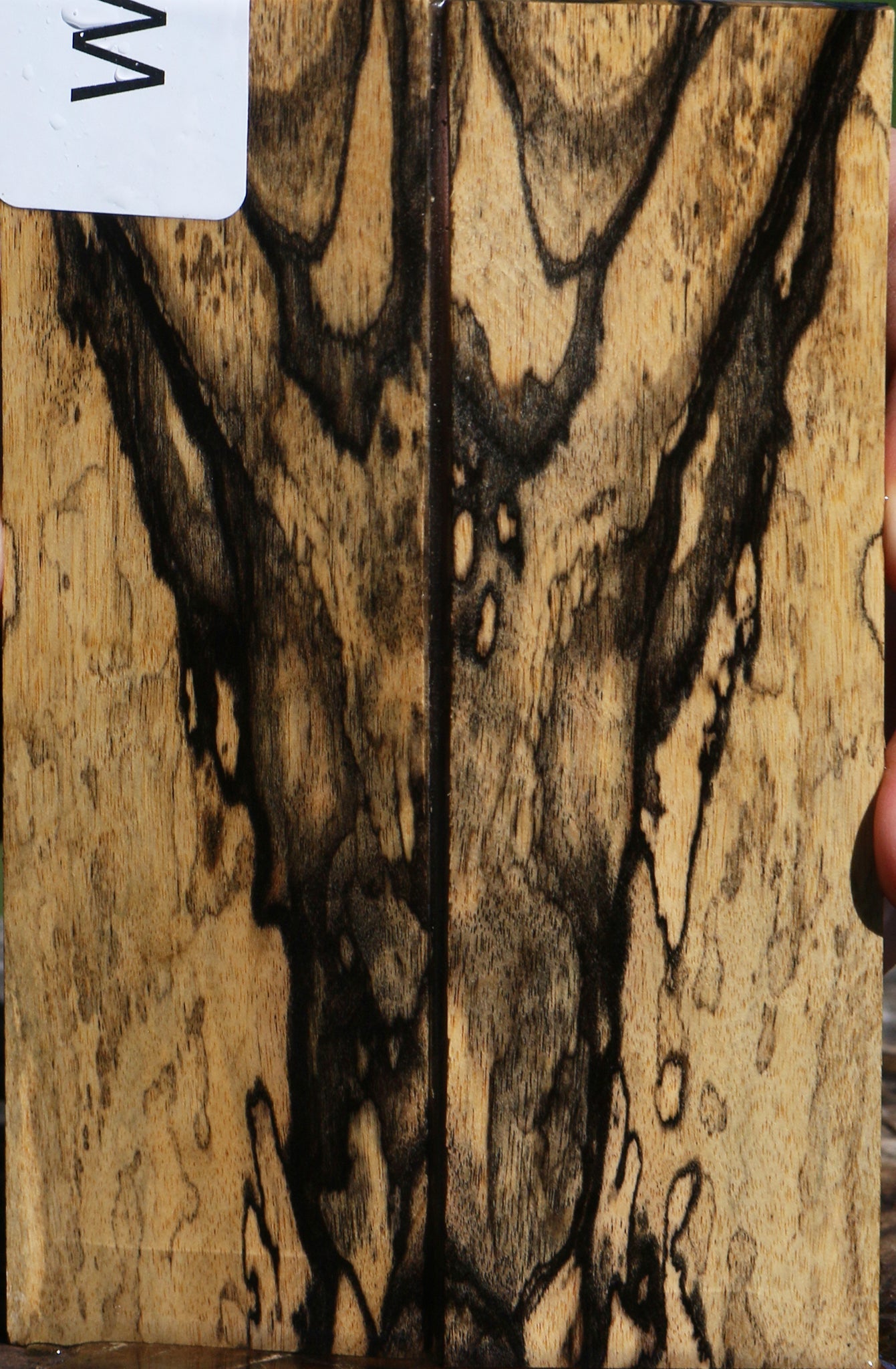 Black & White Ebony Bookmatched Knife Scales