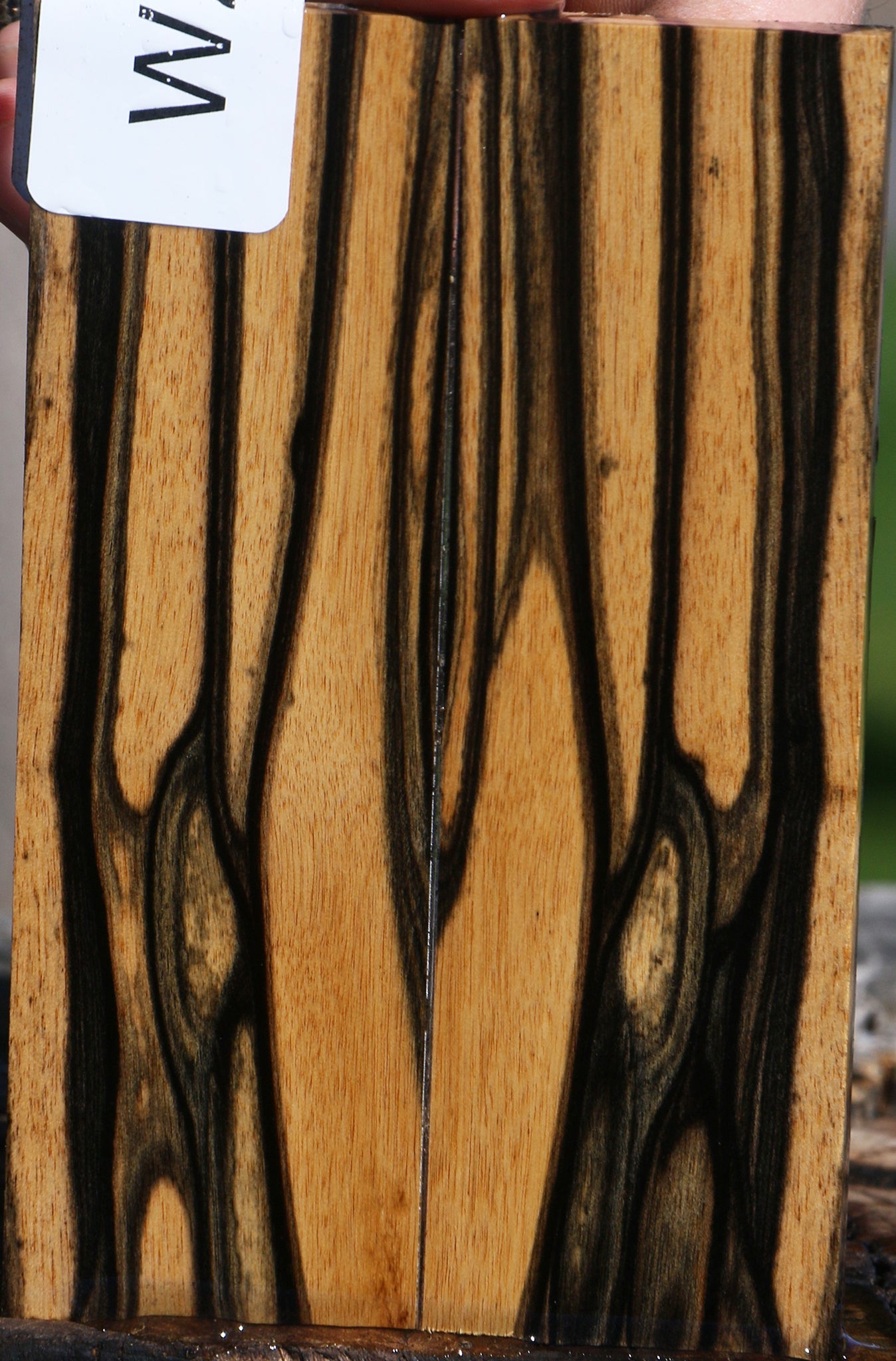 Black & White Ebony Bookmatched Knife Scales