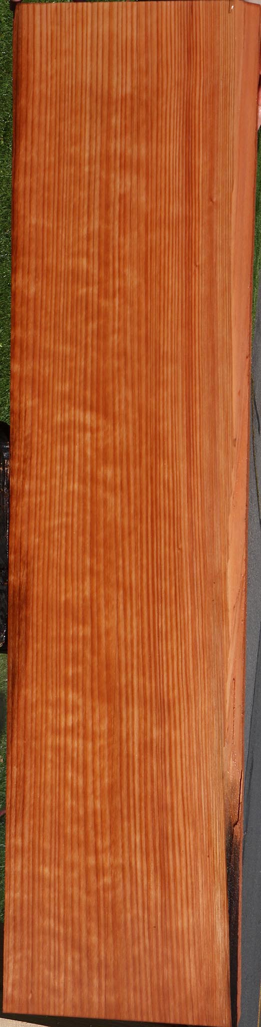 Redwood Slab