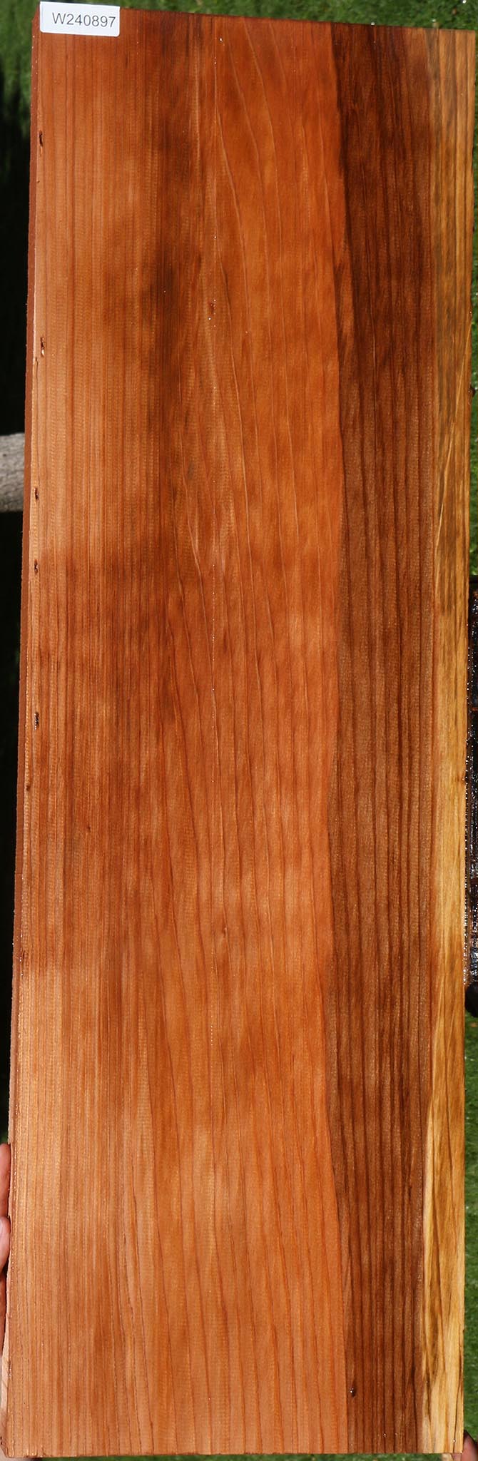 Redwood Mini Slab