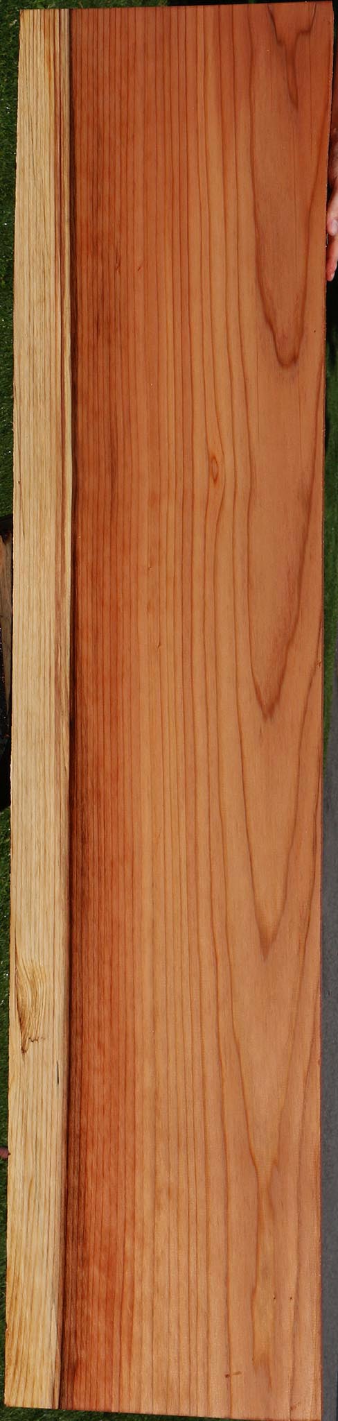 Redwood Slab