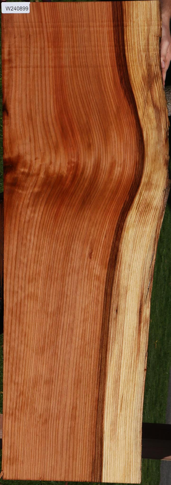 Redwood Live Edge Mini Slab