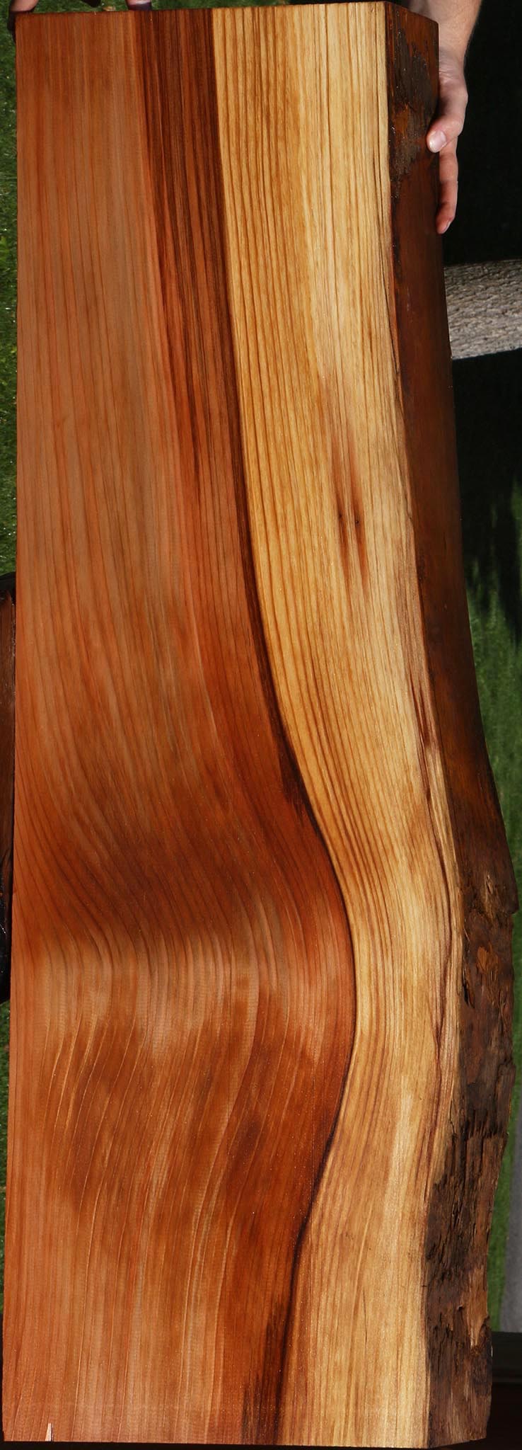 Redwood Live Edge Mini Slab