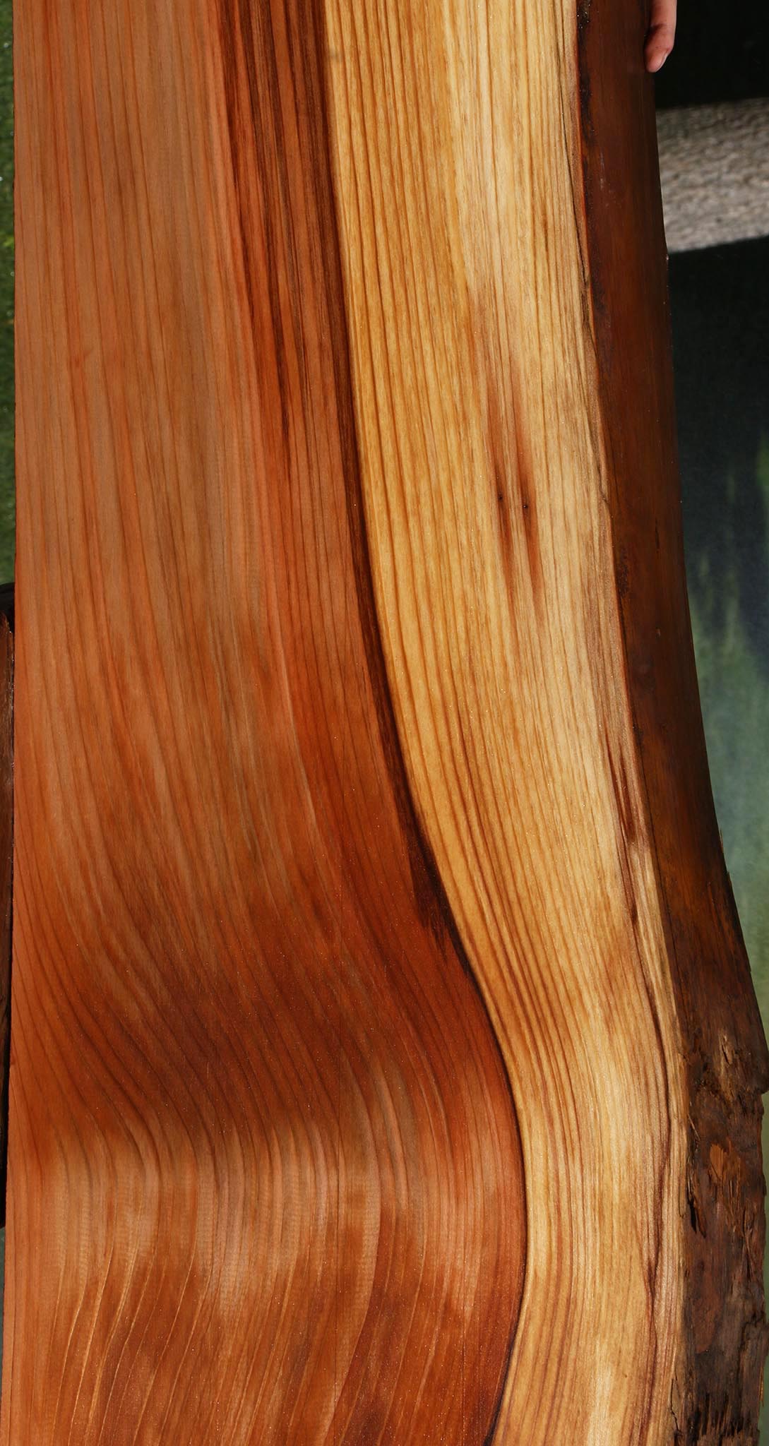 Redwood Live Edge Mini Slab