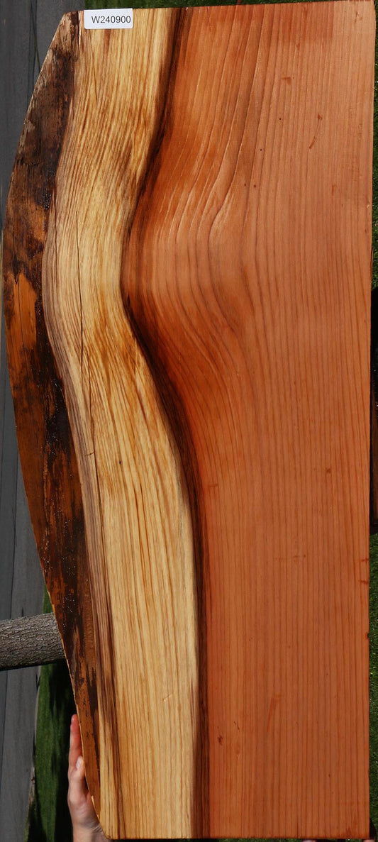 Redwood Live Edge Mini Slab
