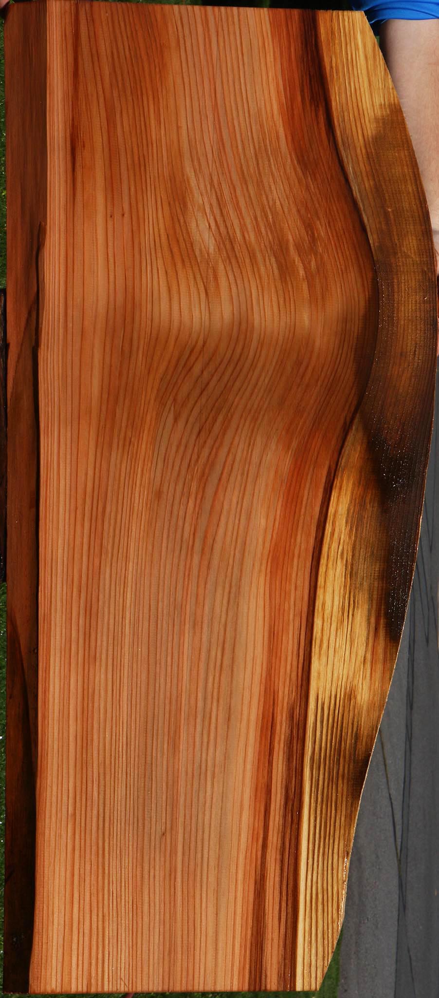 Redwood Live Edge Mini Slab