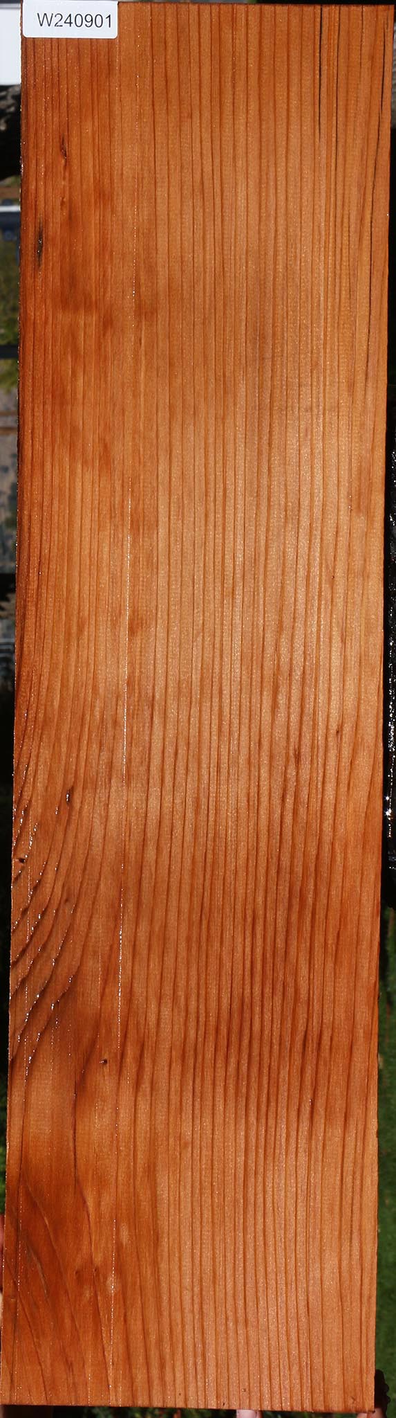 Redwood Mini Slab
