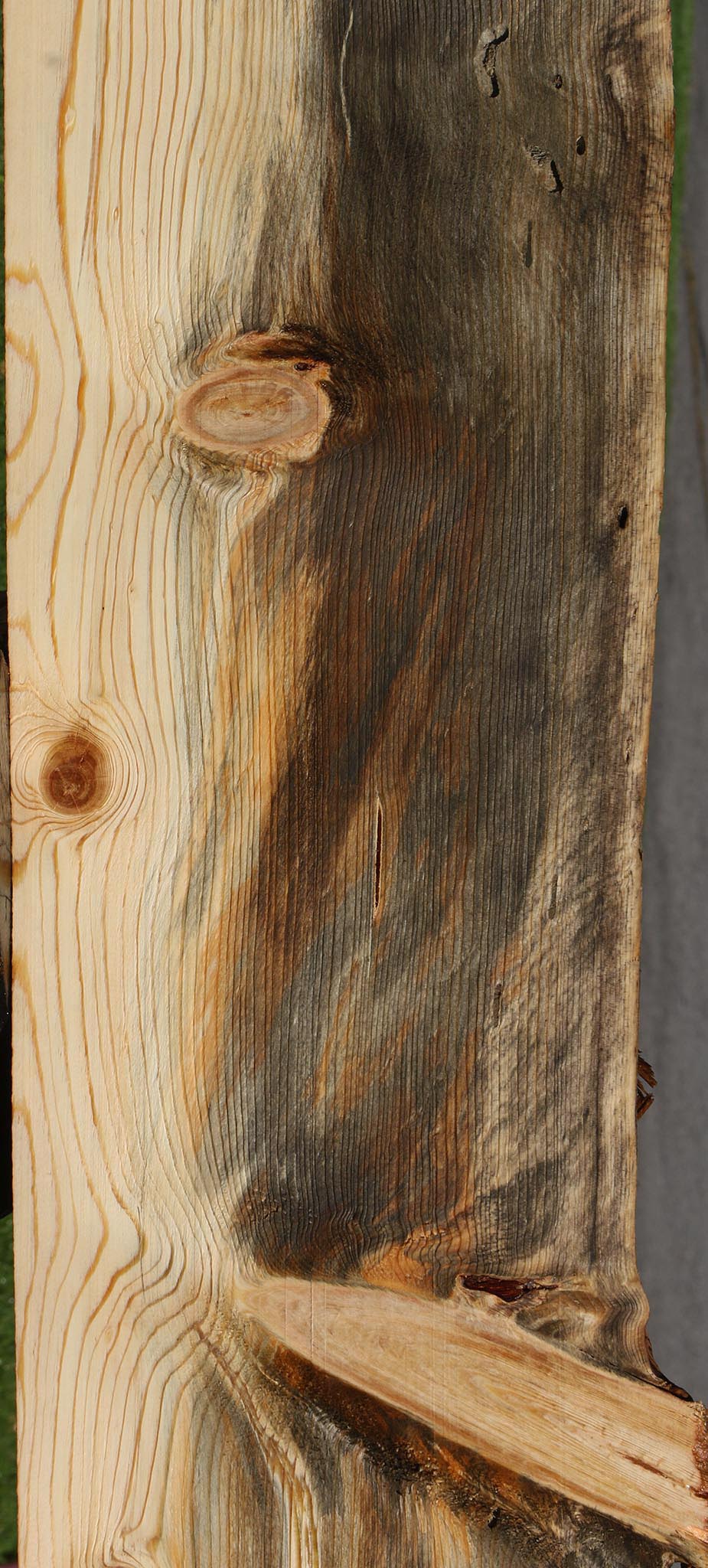 カーナビ pine PREMIUM 1X5 PINE D4S PRM158-16D4SEWP | Premium | Hancock Lumber Shop